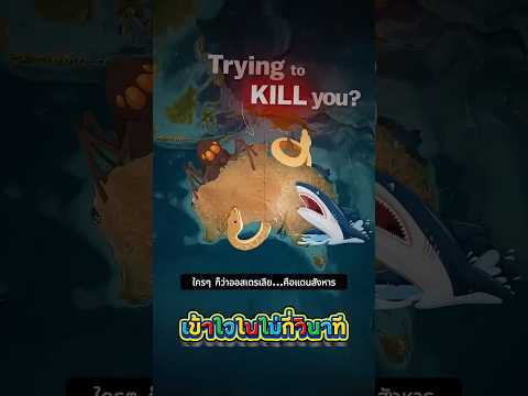 ออสเตรเลีย...แดนสัตว์อันตรายจริงไหม? 😱 #สาระน่ารู้ #ความรู้รอบตัว #shorts