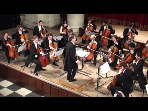 London Cello Orchestra - Tchaikovsky Pas de deux