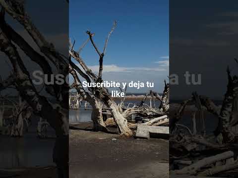 Carhue partido Adolfo Alsina provincia de Buenos Aires