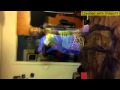 Turkey Twerk Twerk