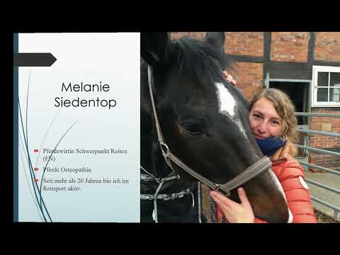 Gebogen zum Ziel "Gleichgewicht" von Reiter und Pferd