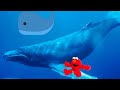 Elmo Down Whale E18