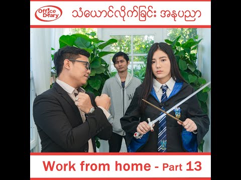 Office Diary - Work from home - part 13