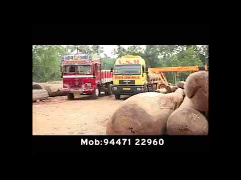 Brown teak wood mahogany natural wood log, 12%, for furnitur...