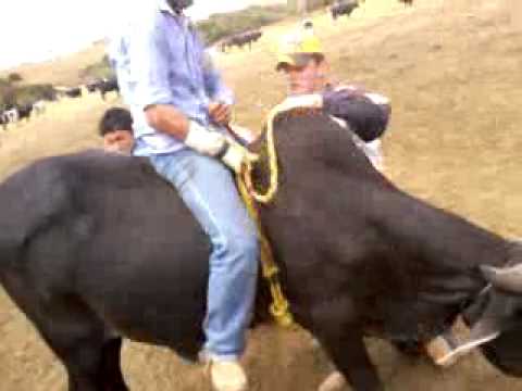 Alvaro ariel vs tela quente