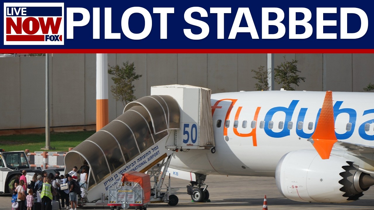 Netanyahu: Pilot tried to crash plane full of Israeli's after stabbing other pilot