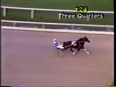 1982 Meadowlands GENGHIS KHAN World Record Bill O'Donnell