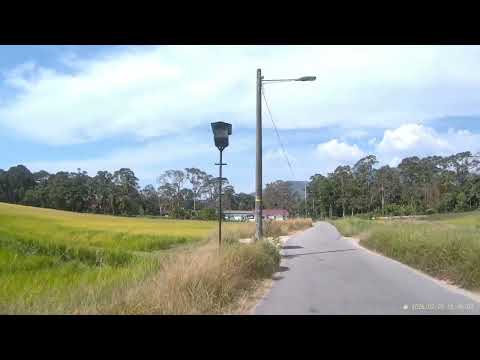 The Paddy Fields of Penang Island Most Tourists Never See | Balik Pulau, Penang