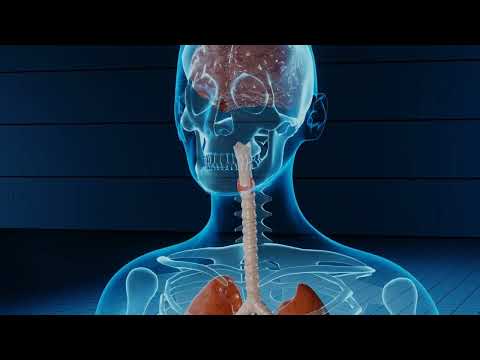 VCE Subject Selection - Health and Human Development Units 1 and 2