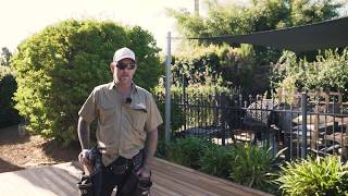 Toby-Lee Carpentry Testimonial