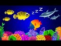 Sleep Instantly In 3 Minutes Mozart Brahms Lullaby Fish Animation Gentle Baby Sleep