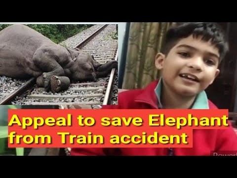 Please Save Elephant from Train accident !! 🙏🙏