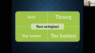 Dermatozlarning umumiy klinik belgilari