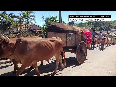 DESFILE DE CARROS DE BOI - ROMARIA DE NOSSA SENHORA DA PENHA - GUARINOS - GO