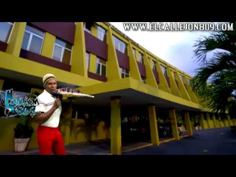 Raymond pozo y Miguel Cepedes palito de coco ft animo animo