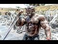 ARM WORKOUT - Kali Muscle | Road To 2 Million Subscribers
