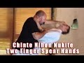 Practical Kata Bunkai Chinte Two Finger Spear Hands Nihon Nukite