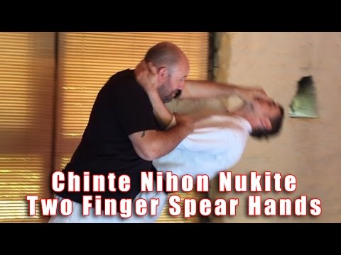 Practical Kata Bunkai: Chinte Two Finger Spear Hands (Nihon Nukite)
