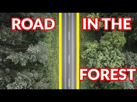 🏍️ R1200GS - Riding in Romanian Forests, in the middle of nowhere, on a beautiful lonely road