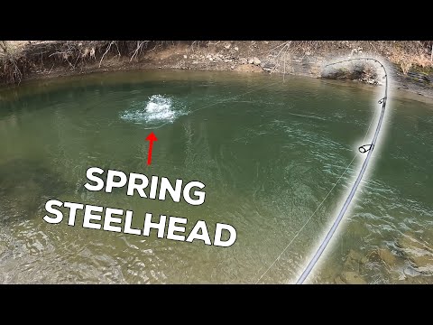 CRUSHING Spring Steelhead in New York! (Bobber Downs)