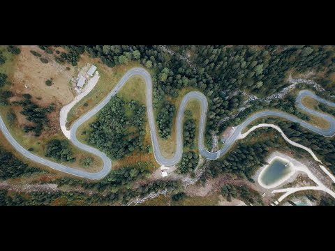 De Gustibus Et Coloribus