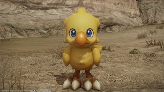 【紅蓮のリベレーターDay19】イケララ目指すFF14初見実況プレイ !【瀬戸内】