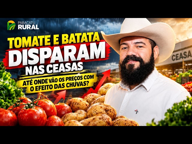 Tomate e Batata Disparam nas Ceasas: Até Onde Vão os Preços com o Efeito das Chuvas?