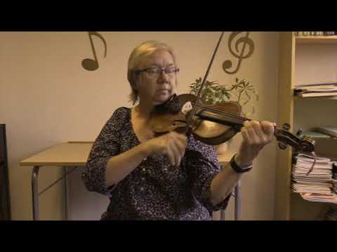 Fiol - ett stråkinstrument