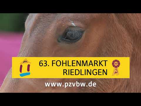 Trailer Fohlenauktion Riedlingen 2020