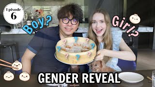 Dim Sum GENDER REVEAL | Our Fertility Journey Episode 6