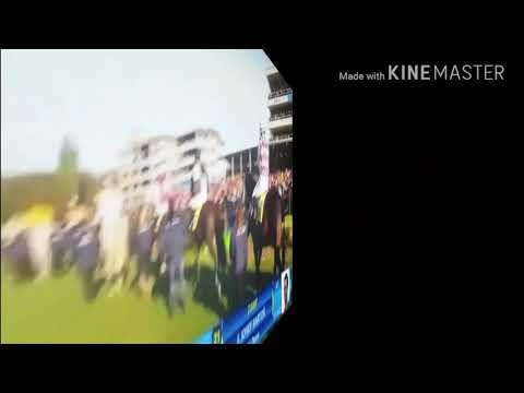 127.Velká Pardubická už tuto Neděli