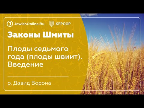 Законы шмиты. Урок 9: Плоды седьмого года (плоды швиит). Введение