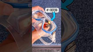 Download lagu World’s best defog! Your mask won’t fog up again. #scubadiving #snorkel #underwater #cressi mp3 Download lagu World’s best defog! Your mask won’t fog up again. #scubadiving #snorkel #underwater #cressi mp3