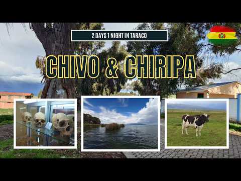 A Trip to Chivo and Chiripa, Taraco | Bolivia 2026