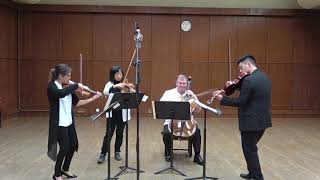 Tchaikovsky children album No 5 March of the Wooden Soldier