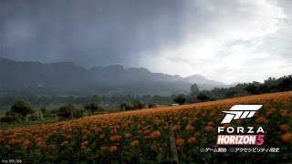 メキシコ旅行「forza horizon 5」