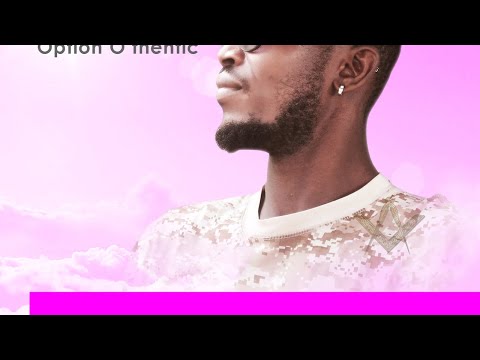 HLAN OPTION O THENTIC - Caméléon