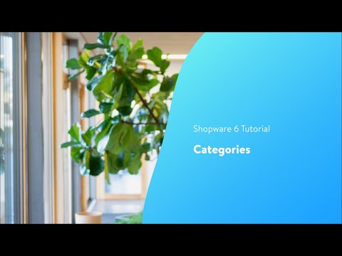 Categories (Shopware 6 Tutorial EN)
