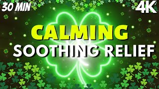 4k Autism Sensory Music March Neon Clover Tunnel Stress Relief