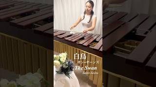 Download lagu 白鳥🦢サン=サーンス #marimba #マリンバ #music #白鳥#クラシック#木琴 #音楽 #音楽好きな人と繋がりたい mp3