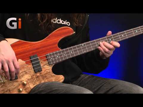 Cort RITHIMICNAT Jeff Berlin Signature Series Alder Body Rithimic 4-String Electric Bass Guitar image 9