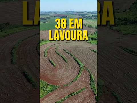 52 ALQUEIRES À VENDA NO NORTE DO PARANÁ!