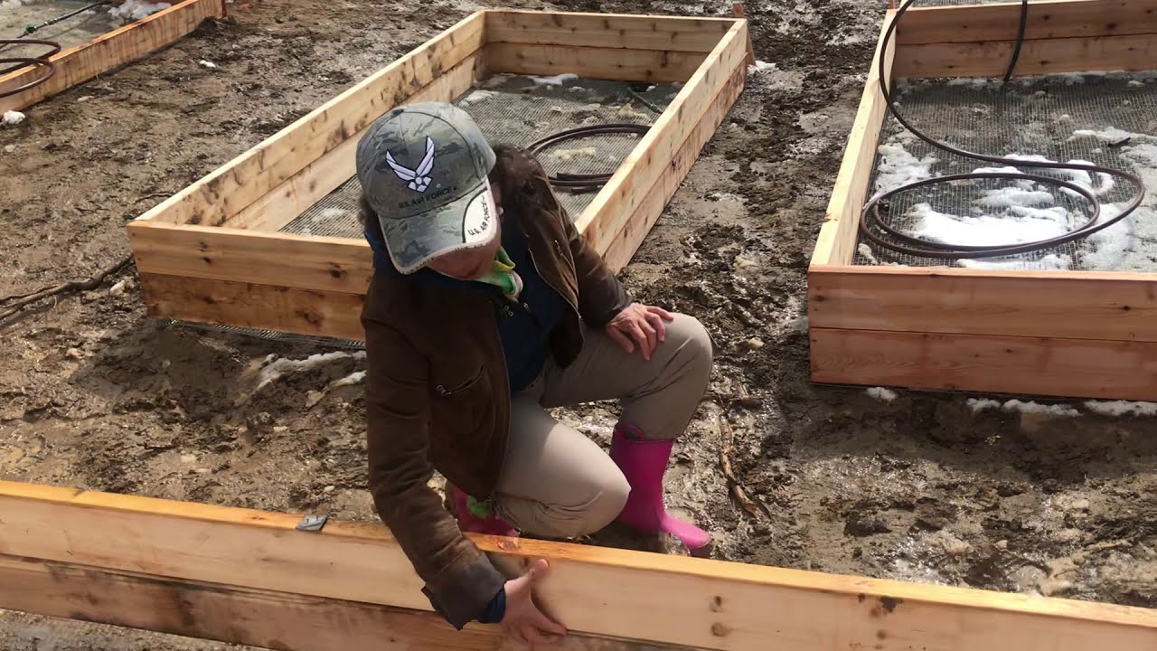 Building a Garden (Step 2) | Library @ Home