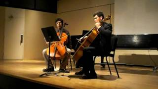 WoW Cello Duet Compilation of themes Barrens/Sindorei