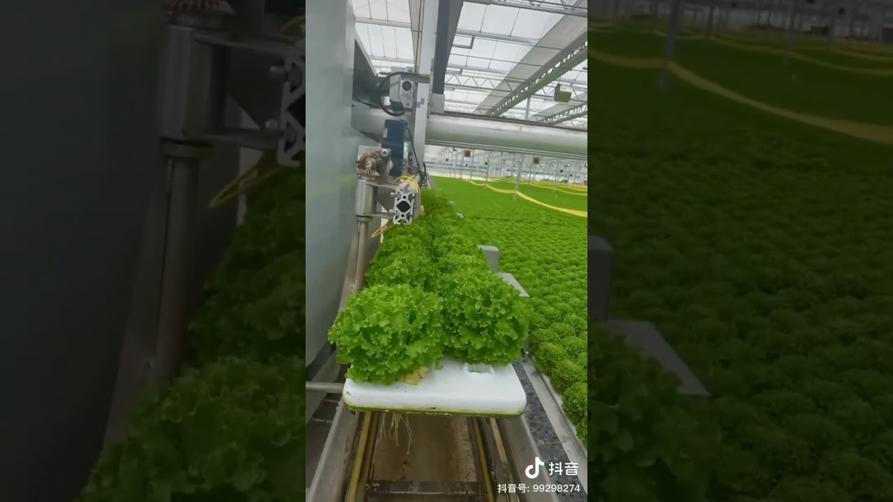 Digital farming in China #technology #shorts