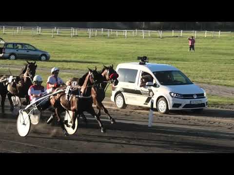 Trka "92. Srpski kasački Derby" 18.08.2019 Imola - Branko Skenderović