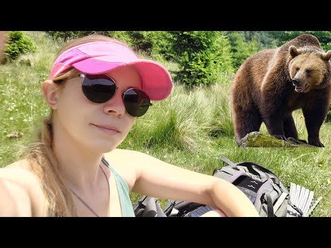 O intalnire neasteptata pe Via Transilvanica | ep. 7 #viatransilvanica