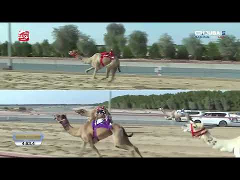 الشوط 6 (انتصار) لـ الشيخ محمد بن ذياب بن سيف آل نهيان 12:31:7 , تاهيل المرموم 2025/11/16 حول زمول 