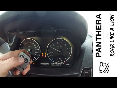 OnBoard parking | Panthera LEO MAGNA Sound Booster - Aktywny Wydech | Wydechowe.pl