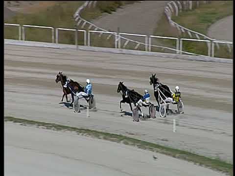 Trotto 09/10/2018 - 1ª prova di qualifica